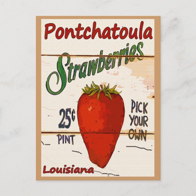 Postal Cartão Ponchatoula Strawberry (Frente)