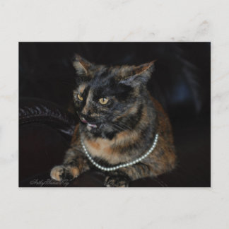 Postal Cartão postal.