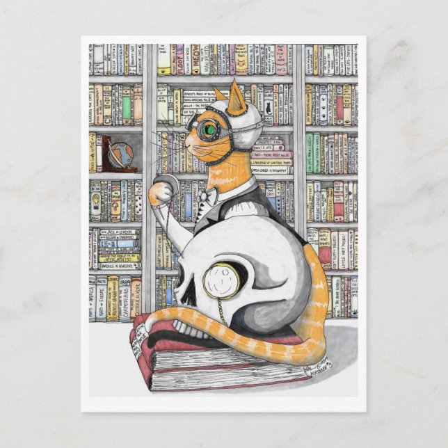 Postal Cartão Postal: Aviação para gatos (Frente)