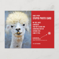Cartão-postal do Cartão com fotos Estúpido de Nata