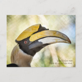 Postal Cartão postal: Excelente Hornbill 4