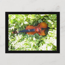 Postal Cartão-postal Fiddle e Cartão de posto Ivy Violin