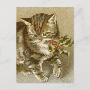 Postal Cartão Postal:  Gatinho com Holly Sprig