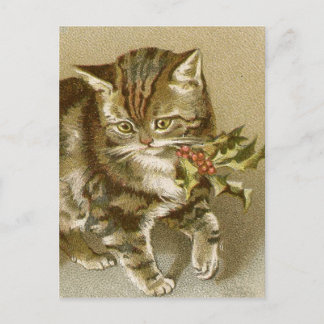 Postal Cartão Postal:  Gatinho com Holly Sprig
