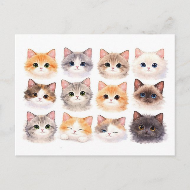Postal Cartão postal. Gatinhos engraçados (Frente)