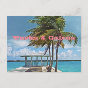 Postal cartão postal, ILHAS TURCAS e CAICOS/PALM TREE, P