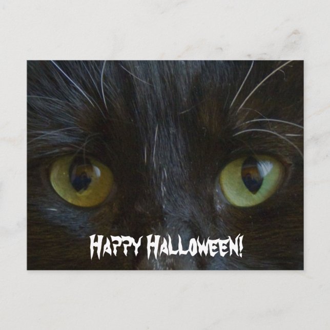 Postal Cartão Postal:  Olhos de Gato Negro (Frente)