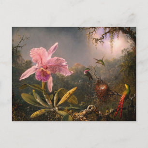 Postal Cartão postal: Orquídea e Aves Hummingaves