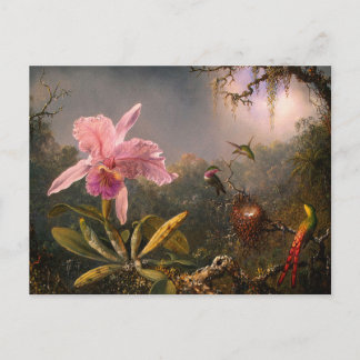 Postal Cartão postal: Orquídea e Aves Hummingaves
