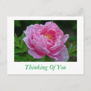 POSTAL CARTÃO POSTAL, "PINK PEONY/PENSANDO EM VOCÊ"