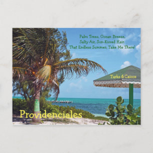 Postal cartão postal, PROVIDENCIALES/PALM TREE & UMBRELL