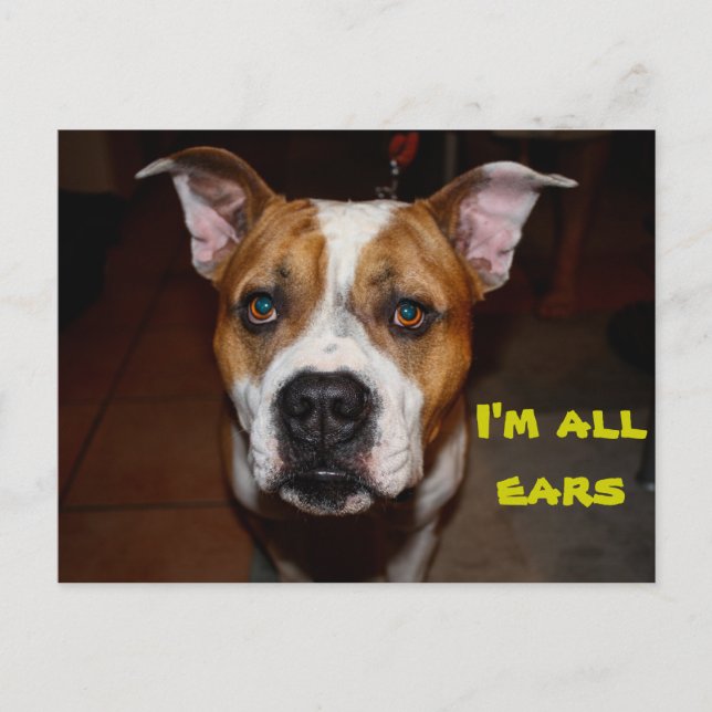 Postal cartão postal, sou todo ouvidos (Frente)