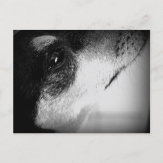 Postal Cartão Postal: Thor