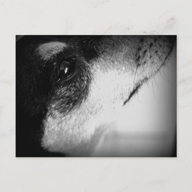 Postal Cartão Postal: Thor (Frente)