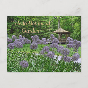 POSTAL CARTÃO POSTAL, TOLEDO BOTÂNICO "ALLIUM E GAZEBO PU