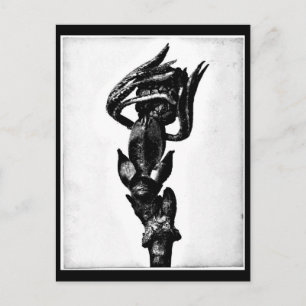 Postal Cartão postal-Vintage Fotografia-Karl Blossfeldt