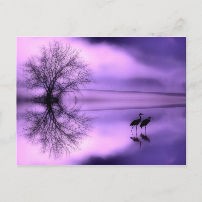Postal Cartão Poste de Manhã Roxo (Frente)
