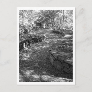 Postal Cartão preto e branco