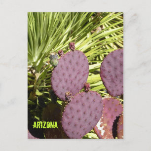 Postal Cartão roxo da arizona do cacto