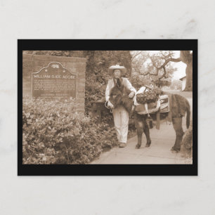 Postal Cartão velho do asno do tempo