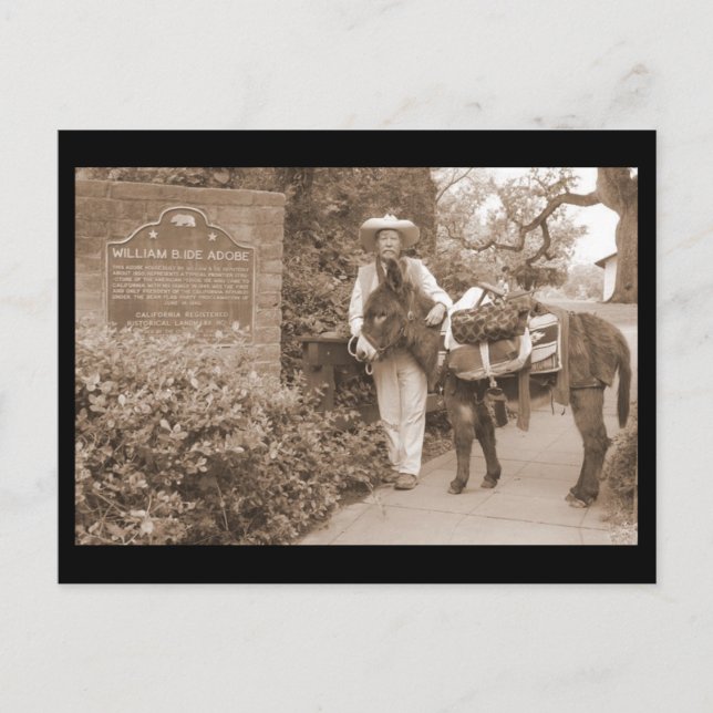 Postal Cartão velho do asno do tempo (Frente)