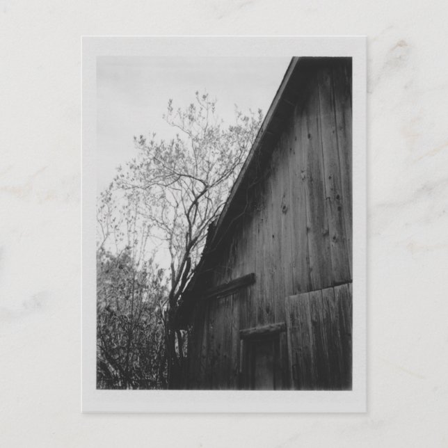 Postal Cartão velho do celeiro (Frente)