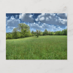 Postal Cartão verde apalaches