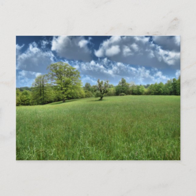 Postal Cartão verde apalaches (Frente)