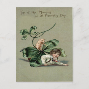 Postal Cartão Vintage Shamrock Pig Dia de São Patrício