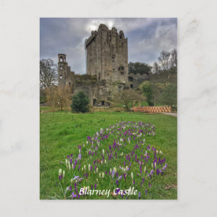 Postal Castelo de Blarney, County Cork, Irlanda Cartão po
