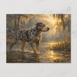 Postal Catahoula Sunrise   Arte de Cão de Caça   Cartão P