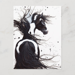 Postal Cavalo de Pintura Branco Negro Pinto por Cartão de
