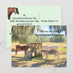 Postal Cavalos e Cartão de Posto de novo endereço de burr