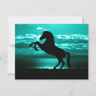 Postal Céu Azul Turquesa Cavalo Preto Dramático Cartão Po
