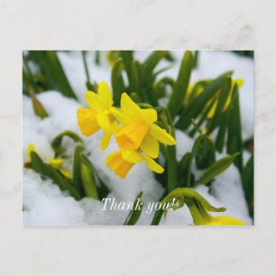 Postal Chegou a Primavera Cartão de Agradecimento