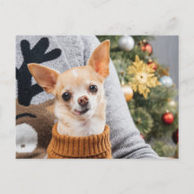 Chihuahua Dog Natal com Cartão de Posto de Árvore 