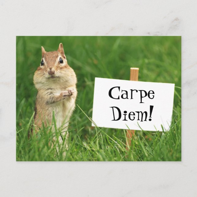 Postal Chipmunk de Carpe Diem com cartão do sinal (Frente)