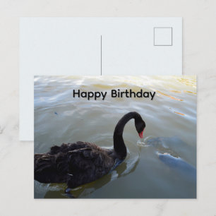 Postal Cisne Negro E Peixe Grande, Cartão de Aniversário