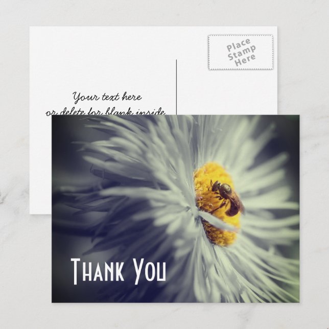 Postal Close Up Abelha Na Flor Cartão de Obrigado (Frente/Verso)