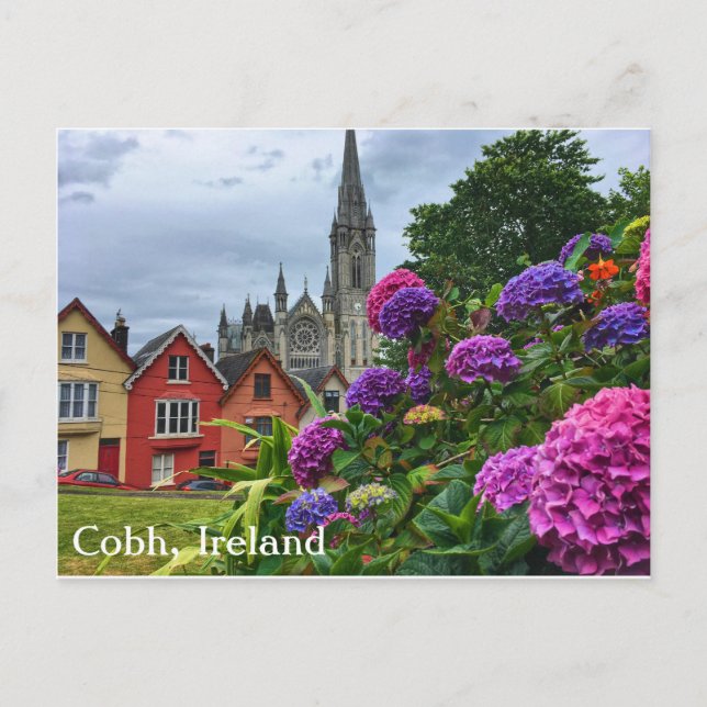 Postal Cobh Ireland, Hydrangeas, cartão (Frente)