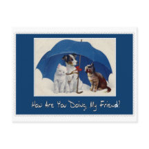 como você está fazendo meu cartão do amigo?