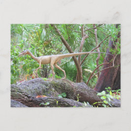 Postal Compsognathus - Dinossauro - Cartão de Aprendizado