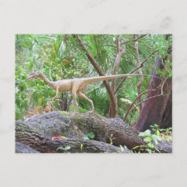 Postal Compsognathus - Dinossauro - Cartão de Aprendizado