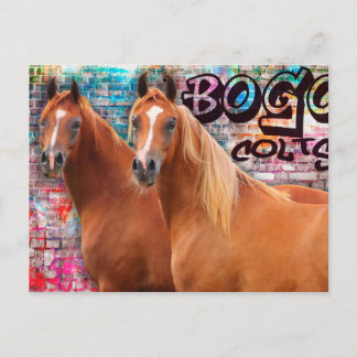 Postal Cores BOGO - Cartão de Posto de Grafite - Cavalos 