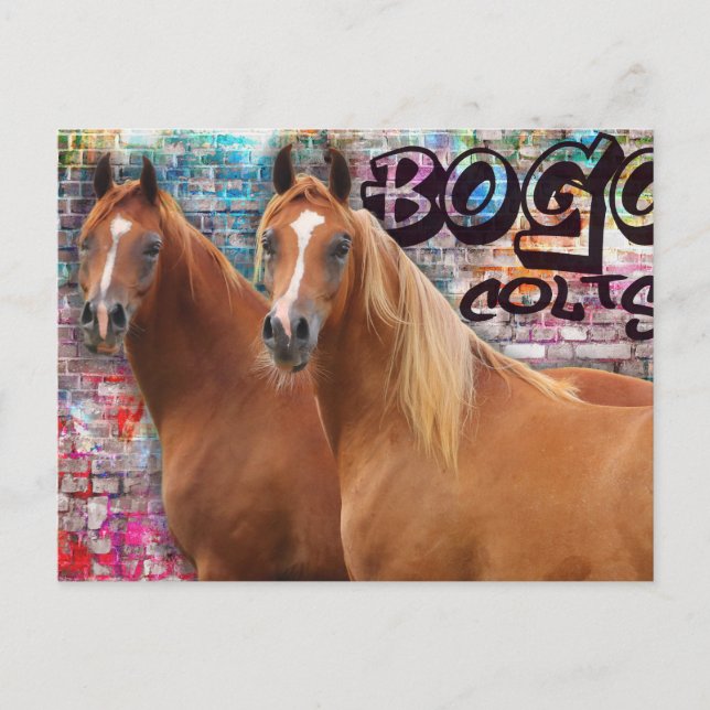 Postal Cores BOGO - Cartão de Posto de Grafite - Cavalos  (Frente)