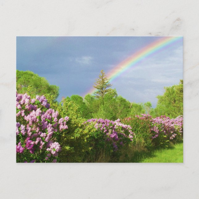 Postal cores no cartão natureza (Frente)