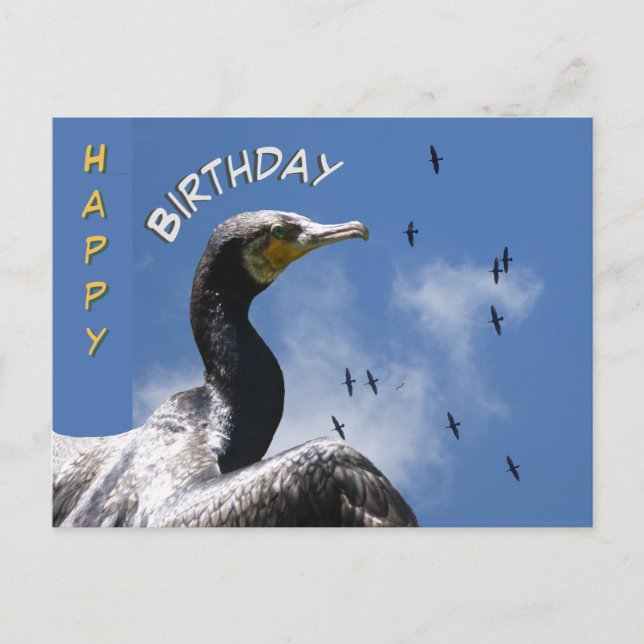 Postal Corvos-Marinhos Voando Feliz Aniversário Cartão Po (Frente)
