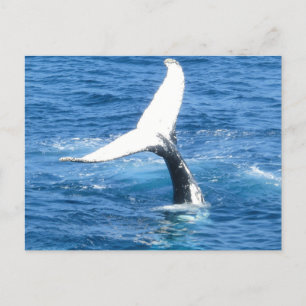 Postal Crie seu próprio Cartão de Saudação de Foto
