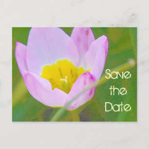Postal De Anúncio cartão em branco para salvar a data do tulipa