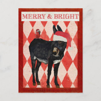 Postal De Festividades ASNO do ÍNDIGO & cartão CARDINAL do NATAL